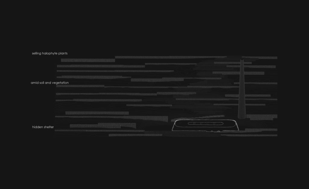 Re: Form -New Life for Old Spaces